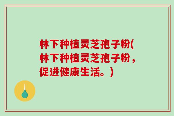 林下种植灵芝孢子粉(林下种植灵芝孢子粉,促进健康生活。)-第1张图片-破壁灵芝孢子粉研究指南 林下种植灵芝孢子粉(林下种植灵芝孢子粉,促进健康生活。)-第1张图片-破壁灵芝孢子粉研究指南
