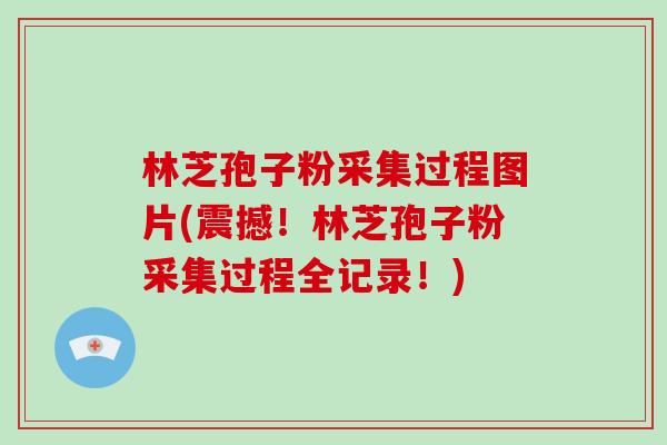 林芝孢子粉采集过程图片(震撼!林芝孢子粉采集过程全记录!)-第1张图片-破壁灵芝孢子粉研究指南 林芝孢子粉采集过程图片(震撼!林芝孢子粉采集过程全记录!)-第1张图片-破壁灵芝孢子粉研究指南