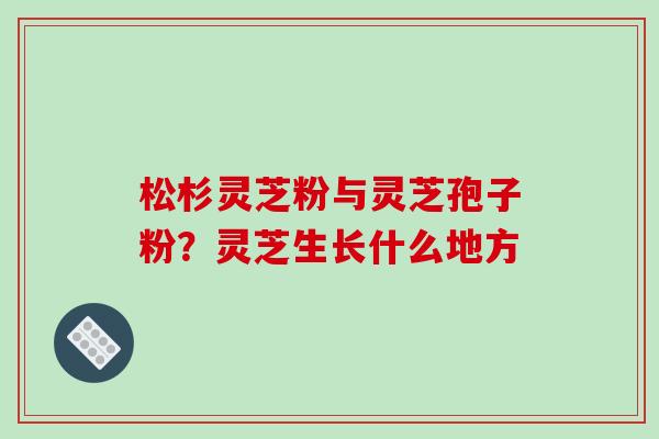 松杉灵芝粉与灵芝孢子粉？灵芝生长什么地方-第1张图片-破壁灵芝孢子粉研究指南