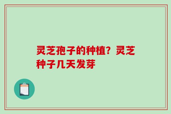 灵芝孢子的种植?灵芝种子几天发芽-第1张图片-破壁灵芝孢子粉研究指南 灵芝孢子的种植?灵芝种子几天发芽-第1张图片-破壁灵芝孢子粉研究指南