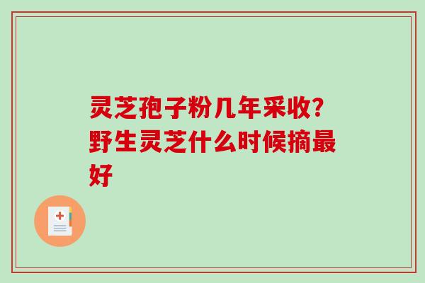 灵芝孢子粉几年采收?野生灵芝什么时候摘最好-第1张图片-破壁灵芝孢子粉研究指南 灵芝孢子粉几年采收?野生灵芝什么时候摘最好-第1张图片-破壁灵芝孢子粉研究指南