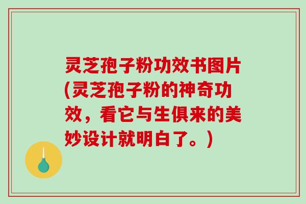 灵芝孢子粉功效书图片(灵芝孢子粉的神奇功效,看它与生俱来的美妙设计就明白了。)-第1张图片-破壁灵芝孢子粉研究指南 灵芝孢子粉功效书图片(灵芝孢子粉的神奇功效,看它与生俱来的美妙设计就明白了。)-第1张图片-破壁灵芝孢子粉研究指南