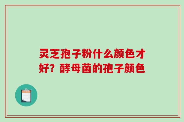 灵芝孢子粉什么颜色才好?酵母菌的孢子颜色-第1张图片-破壁灵芝孢子粉研究指南 灵芝孢子粉什么颜色才好?酵母菌的孢子颜色-第1张图片-破壁灵芝孢子粉研究指南