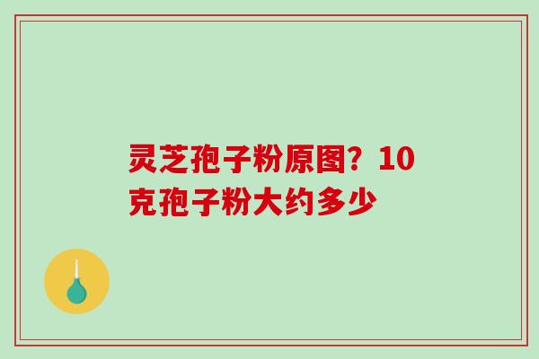 灵芝孢子粉原图?10克孢子粉大约多少-第1张图片-破壁灵芝孢子粉研究指南 灵芝孢子粉原图?10克孢子粉大约多少-第1张图片-破壁灵芝孢子粉研究指南