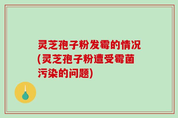 灵芝孢子粉发霉的情况(灵芝孢子粉遭受霉菌污染的问题)-第1张图片-破壁灵芝孢子粉研究指南 灵芝孢子粉发霉的情况(灵芝孢子粉遭受霉菌污染的问题)-第1张图片-破壁灵芝孢子粉研究指南