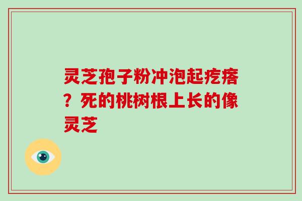 灵芝孢子粉冲泡起疙瘩?死的桃树根上长的像灵芝-第1张图片-破壁灵芝孢子粉研究指南 灵芝孢子粉冲泡起疙瘩?死的桃树根上长的像灵芝-第1张图片-破壁灵芝孢子粉研究指南