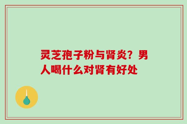灵芝孢子粉与肾炎?男人喝什么对肾有好处-第1张图片-破壁灵芝孢子粉研究指南 灵芝孢子粉与肾炎?男人喝什么对肾有好处-第1张图片-破壁灵芝孢子粉研究指南