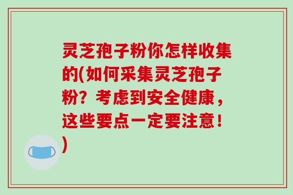 灵芝孢子粉你怎样收集的(如何采集灵芝孢子粉?考虑到安全健康,这些要点一定要注意!)-第1张图片-破壁灵芝孢子粉研究指南 灵芝孢子粉你怎样收集的(如何采集灵芝孢子粉?考虑到安全健康,这些要点一定要注意!)-第1张图片-破壁灵芝孢子粉研究指南