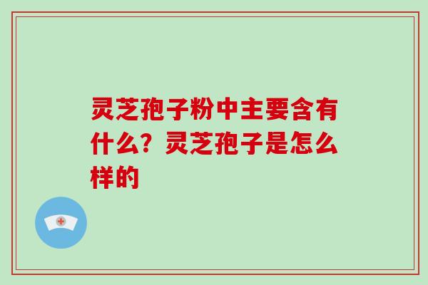 灵芝孢子粉中主要含有什么?灵芝孢子是怎么样的-第1张图片-破壁灵芝孢子粉研究指南 灵芝孢子粉中主要含有什么?灵芝孢子是怎么样的-第1张图片-破壁灵芝孢子粉研究指南