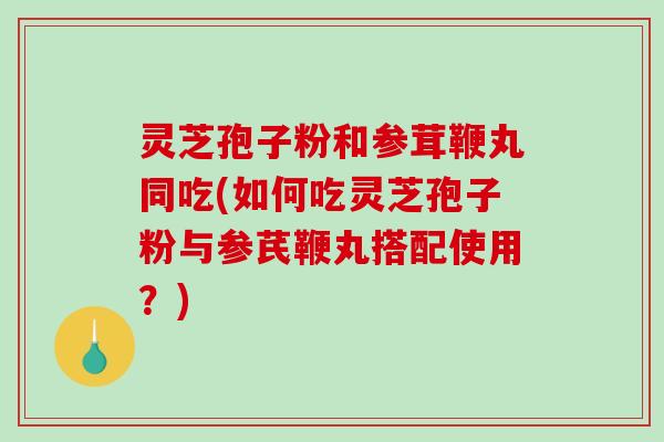 灵芝孢子粉和参茸鞭丸同吃(如何吃灵芝孢子粉与参芪鞭丸搭配使用?)-第1张图片-破壁灵芝孢子粉研究指南 灵芝孢子粉和参茸鞭丸同吃(如何吃灵芝孢子粉与参芪鞭丸搭配使用?)-第1张图片-破壁灵芝孢子粉研究指南