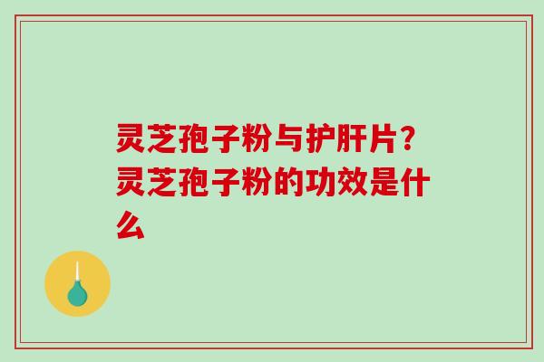 灵芝孢子粉与护肝片？灵芝孢子粉的功效是什么-第1张图片-破壁灵芝孢子粉研究指南