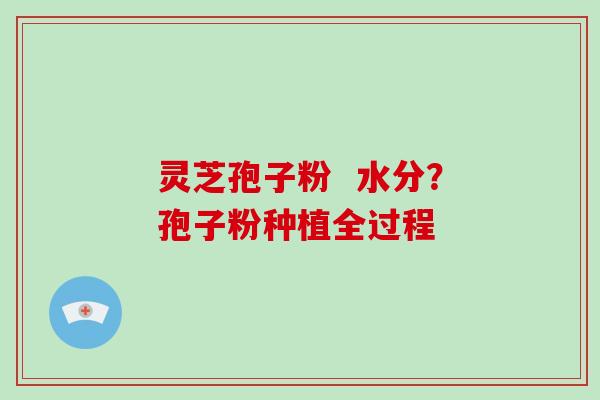 灵芝孢子粉 水分?孢子粉种植全过程-第1张图片-破壁灵芝孢子粉研究指南 灵芝孢子粉 水分?孢子粉种植全过程-第1张图片-破壁灵芝孢子粉研究指南