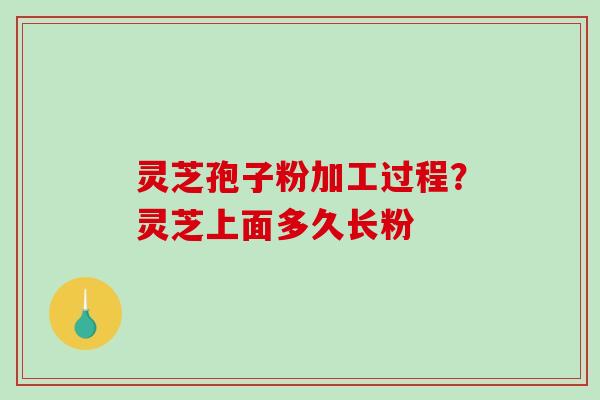 灵芝孢子粉加工过程？灵芝上面多久长粉-第1张图片-破壁灵芝孢子粉研究指南