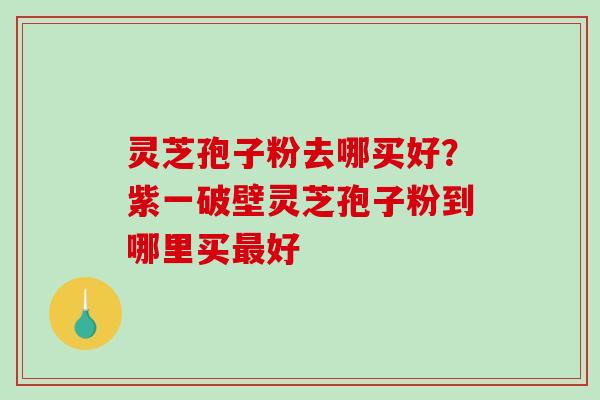 灵芝孢子粉去哪买好?紫一破壁灵芝孢子粉到哪里买最好-第1张图片-破壁灵芝孢子粉研究指南 灵芝孢子粉去哪买好?紫一破壁灵芝孢子粉到哪里买最好-第1张图片-破壁灵芝孢子粉研究指南