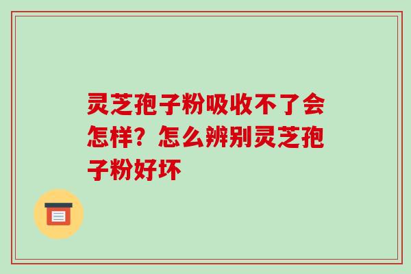 灵芝孢子粉吸收不了会怎样?怎么辨别灵芝孢子粉好坏-第1张图片-破壁灵芝孢子粉研究指南 灵芝孢子粉吸收不了会怎样?怎么辨别灵芝孢子粉好坏-第1张图片-破壁灵芝孢子粉研究指南