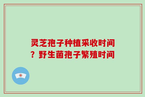 灵芝孢子种植采收时间?野生菌孢子繁殖时间-第1张图片-破壁灵芝孢子粉研究指南 灵芝孢子种植采收时间?野生菌孢子繁殖时间-第1张图片-破壁灵芝孢子粉研究指南