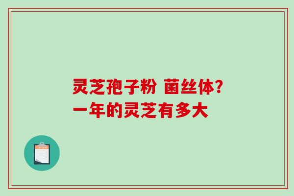 灵芝孢子粉 菌丝体?一年的灵芝有多大-第1张图片-破壁灵芝孢子粉研究指南 灵芝孢子粉 菌丝体?一年的灵芝有多大-第1张图片-破壁灵芝孢子粉研究指南