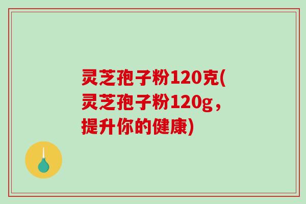 灵芝孢子粉120克(灵芝孢子粉120g,提升你的健康)-第1张图片-破壁灵芝孢子粉研究指南 灵芝孢子粉120克(灵芝孢子粉120g,提升你的健康)-第1张图片-破壁灵芝孢子粉研究指南