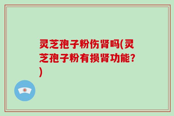 灵芝孢子粉伤肾吗(灵芝孢子粉有损肾功能?)-第1张图片-破壁灵芝孢子粉研究指南 灵芝孢子粉伤肾吗(灵芝孢子粉有损肾功能?)-第1张图片-破壁灵芝孢子粉研究指南