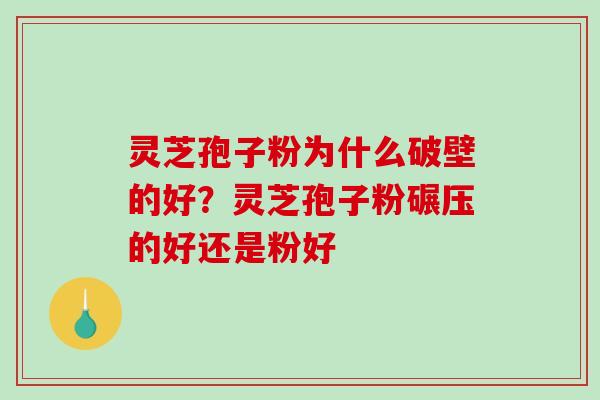 灵芝孢子粉为什么破壁的好?灵芝孢子粉碾压的好还是粉好-第1张图片-破壁灵芝孢子粉研究指南 灵芝孢子粉为什么破壁的好?灵芝孢子粉碾压的好还是粉好-第1张图片-破壁灵芝孢子粉研究指南