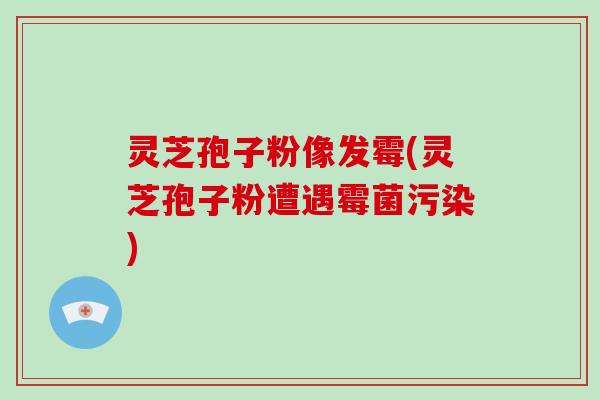 灵芝孢子粉像发霉(灵芝孢子粉遭遇霉菌污染)-第1张图片-破壁灵芝孢子粉研究指南 灵芝孢子粉像发霉(灵芝孢子粉遭遇霉菌污染)-第1张图片-破壁灵芝孢子粉研究指南