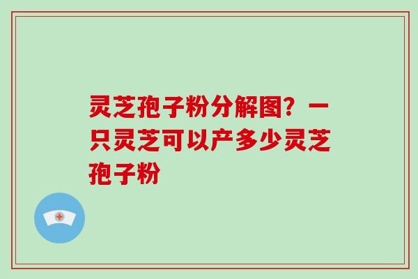 灵芝孢子粉分解图?一只灵芝可以产多少灵芝孢子粉-第1张图片-破壁灵芝孢子粉研究指南 灵芝孢子粉分解图?一只灵芝可以产多少灵芝孢子粉-第1张图片-破壁灵芝孢子粉研究指南