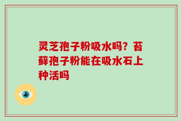 灵芝孢子粉吸水吗?苔藓孢子粉能在吸水石上种活吗-第1张图片-破壁灵芝孢子粉研究指南 灵芝孢子粉吸水吗?苔藓孢子粉能在吸水石上种活吗-第1张图片-破壁灵芝孢子粉研究指南