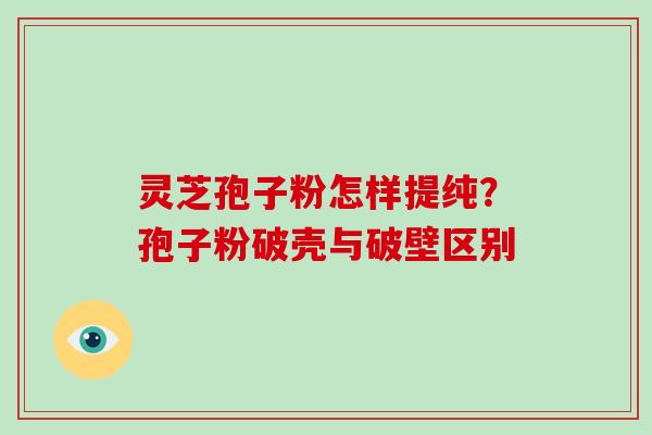 灵芝孢子粉怎样提纯?孢子粉破壳与破壁区别-第1张图片-破壁灵芝孢子粉研究指南 灵芝孢子粉怎样提纯?孢子粉破壳与破壁区别-第1张图片-破壁灵芝孢子粉研究指南