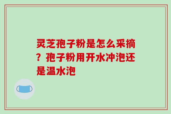 灵芝孢子粉是怎么采摘?孢子粉用开水冲泡还是温水泡-第1张图片-破壁灵芝孢子粉研究指南 灵芝孢子粉是怎么采摘?孢子粉用开水冲泡还是温水泡-第1张图片-破壁灵芝孢子粉研究指南