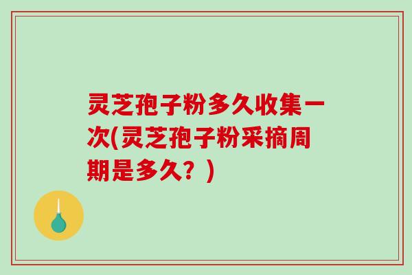 灵芝孢子粉多久收集一次(灵芝孢子粉采摘周期是多久?)-第1张图片-破壁灵芝孢子粉研究指南 灵芝孢子粉多久收集一次(灵芝孢子粉采摘周期是多久?)-第1张图片-破壁灵芝孢子粉研究指南