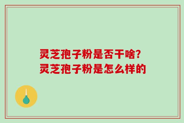 灵芝孢子粉是否干啥?灵芝孢子粉是怎么样的-第1张图片-破壁灵芝孢子粉研究指南 灵芝孢子粉是否干啥?灵芝孢子粉是怎么样的-第1张图片-破壁灵芝孢子粉研究指南
