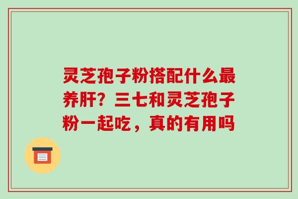 灵芝孢子粉搭配什么最养肝?三七和灵芝孢子粉一起吃,真的有用吗-第1张图片-破壁灵芝孢子粉研究指南 灵芝孢子粉搭配什么最养肝?三七和灵芝孢子粉一起吃,真的有用吗-第1张图片-破壁灵芝孢子粉研究指南