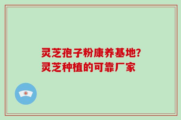 灵芝孢子粉康养基地？灵芝种植的可靠厂家-第1张图片-破壁灵芝孢子粉研究指南
