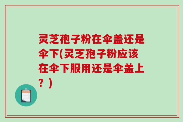 灵芝孢子粉在伞盖还是伞下(灵芝孢子粉应该在伞下服用还是伞盖上？)-第1张图片-破壁灵芝孢子粉研究指南