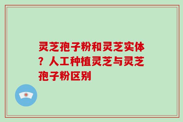 灵芝孢子粉和灵芝实体?人工种植灵芝与灵芝孢子粉区别-第1张图片-破壁灵芝孢子粉研究指南 灵芝孢子粉和灵芝实体?人工种植灵芝与灵芝孢子粉区别-第1张图片-破壁灵芝孢子粉研究指南