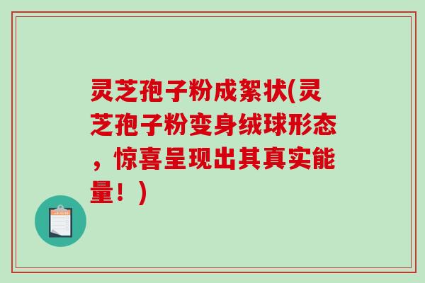灵芝孢子粉成絮状(灵芝孢子粉变身绒球形态,惊喜呈现出其真实能量!)-第1张图片-破壁灵芝孢子粉研究指南 灵芝孢子粉成絮状(灵芝孢子粉变身绒球形态,惊喜呈现出其真实能量!)-第1张图片-破壁灵芝孢子粉研究指南