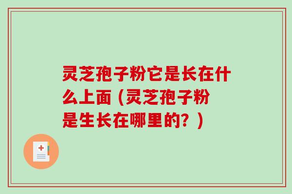 灵芝孢子粉它是长在什么上面 (灵芝孢子粉是生长在哪里的?)-第1张图片-破壁灵芝孢子粉研究指南 灵芝孢子粉它是长在什么上面 (灵芝孢子粉是生长在哪里的?)-第1张图片-破壁灵芝孢子粉研究指南