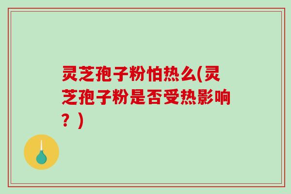 灵芝孢子粉怕热么(灵芝孢子粉是否受热影响?)-第1张图片-破壁灵芝孢子粉研究指南 灵芝孢子粉怕热么(灵芝孢子粉是否受热影响?)-第1张图片-破壁灵芝孢子粉研究指南