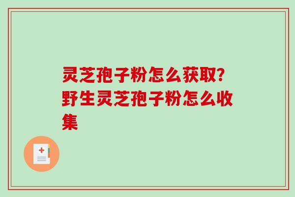 灵芝孢子粉怎么获取?野生灵芝孢子粉怎么收集-第1张图片-破壁灵芝孢子粉研究指南 灵芝孢子粉怎么获取?野生灵芝孢子粉怎么收集-第1张图片-破壁灵芝孢子粉研究指南