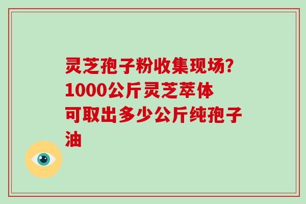 灵芝孢子粉收集现场?1000公斤灵芝萃体可取出多少公斤纯孢子油-第1张图片-破壁灵芝孢子粉研究指南 灵芝孢子粉收集现场?1000公斤灵芝萃体可取出多少公斤纯孢子油-第1张图片-破壁灵芝孢子粉研究指南