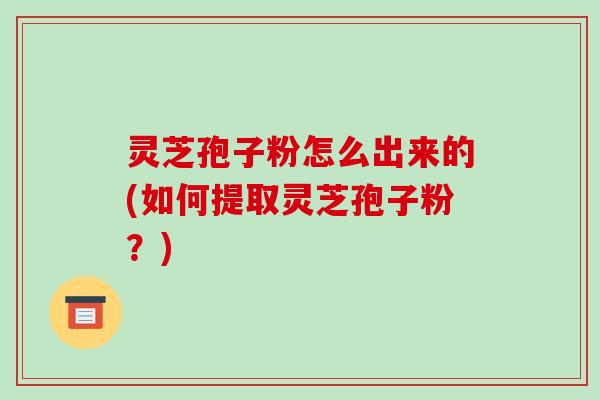 灵芝孢子粉怎么出来的(如何提取灵芝孢子粉?)-第1张图片-破壁灵芝孢子粉研究指南 灵芝孢子粉怎么出来的(如何提取灵芝孢子粉?)-第1张图片-破壁灵芝孢子粉研究指南