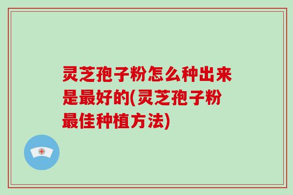 灵芝孢子粉怎么种出来是最好的(灵芝孢子粉最佳种植方法)-第1张图片-破壁灵芝孢子粉研究指南 灵芝孢子粉怎么种出来是最好的(灵芝孢子粉最佳种植方法)-第1张图片-破壁灵芝孢子粉研究指南