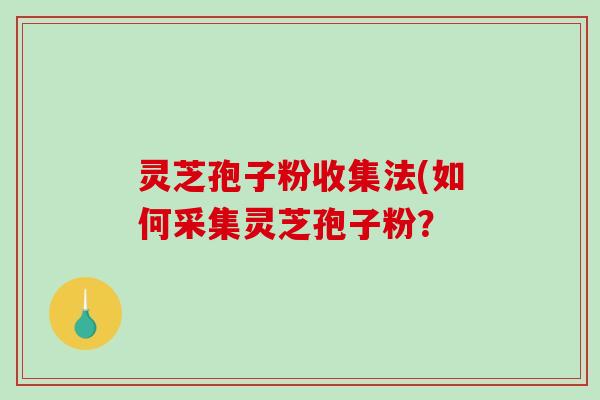 灵芝孢子粉收集法(如何采集灵芝孢子粉?-第1张图片-破壁灵芝孢子粉研究指南 灵芝孢子粉收集法(如何采集灵芝孢子粉?-第1张图片-破壁灵芝孢子粉研究指南