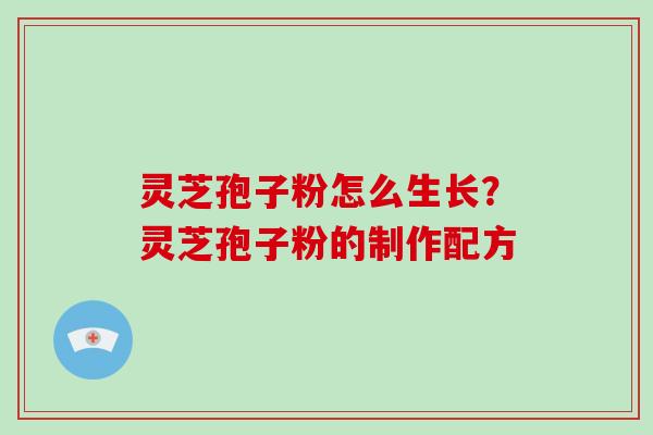 灵芝孢子粉怎么生长？灵芝孢子粉的制作配方-第1张图片-破壁灵芝孢子粉研究指南