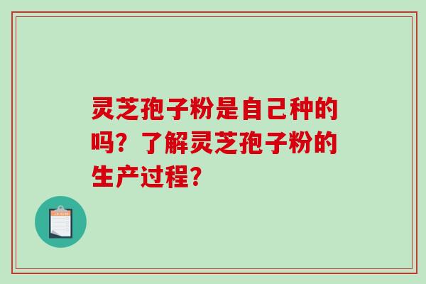 灵芝孢子粉是自己种的吗?了解灵芝孢子粉的生产过程?-第1张图片-破壁灵芝孢子粉研究指南 灵芝孢子粉是自己种的吗?了解灵芝孢子粉的生产过程?-第1张图片-破壁灵芝孢子粉研究指南