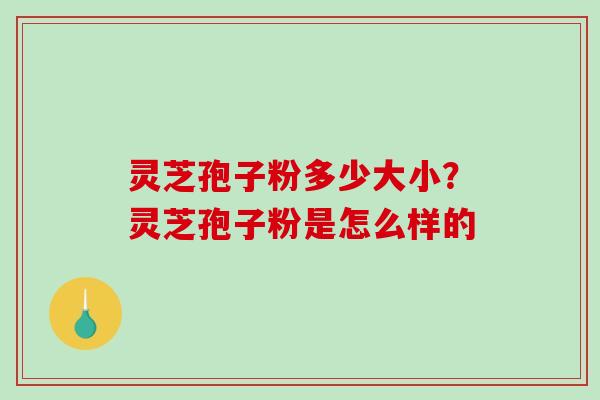 灵芝孢子粉多少大小?灵芝孢子粉是怎么样的-第1张图片-破壁灵芝孢子粉研究指南 灵芝孢子粉多少大小?灵芝孢子粉是怎么样的-第1张图片-破壁灵芝孢子粉研究指南