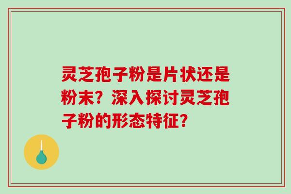 灵芝孢子粉是片状还是粉末?深入探讨灵芝孢子粉的形态特征?-第1张图片-破壁灵芝孢子粉研究指南 灵芝孢子粉是片状还是粉末?深入探讨灵芝孢子粉的形态特征?-第1张图片-破壁灵芝孢子粉研究指南