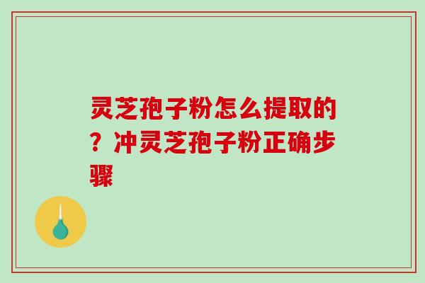 灵芝孢子粉怎么提取的?冲灵芝孢子粉正确步骤-第1张图片-破壁灵芝孢子粉研究指南 灵芝孢子粉怎么提取的?冲灵芝孢子粉正确步骤-第1张图片-破壁灵芝孢子粉研究指南