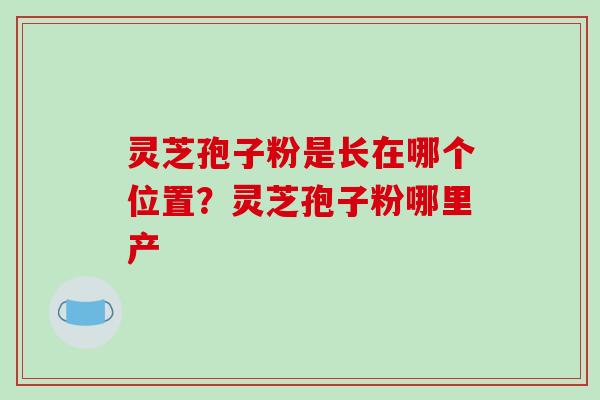 灵芝孢子粉是长在哪个位置?灵芝孢子粉哪里产-第1张图片-破壁灵芝孢子粉研究指南 灵芝孢子粉是长在哪个位置?灵芝孢子粉哪里产-第1张图片-破壁灵芝孢子粉研究指南