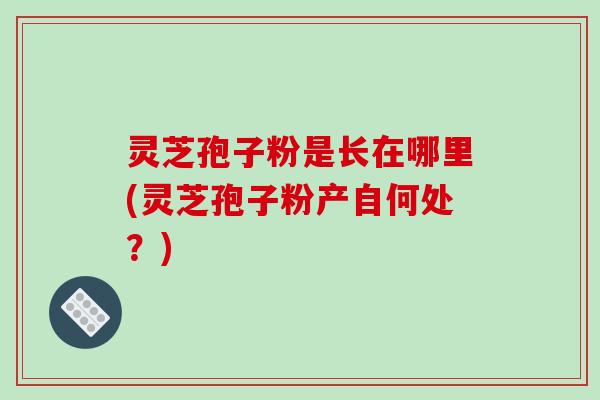 灵芝孢子粉是长在哪里(灵芝孢子粉产自何处?)-第1张图片-破壁灵芝孢子粉研究指南 灵芝孢子粉是长在哪里(灵芝孢子粉产自何处?)-第1张图片-破壁灵芝孢子粉研究指南